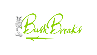 BB